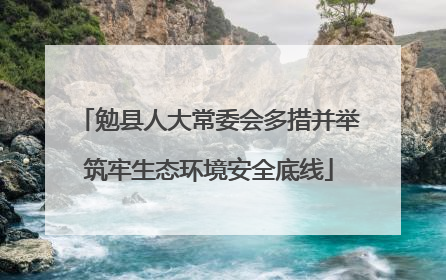 勉县人大常委会多措并举筑牢生态环境安全底线