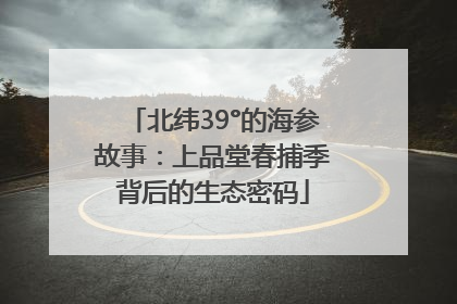 北纬39°的海参故事：上品堂春捕季背后的生态密码