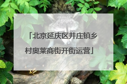 北京延庆区井庄镇乡村奥莱商街开街运营