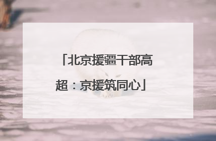北京援疆干部高超：京援筑同心