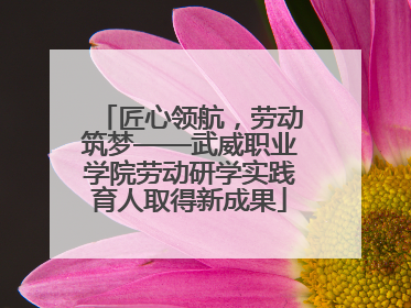匠心领航，劳动筑梦——武威职业学院劳动研学实践育人取得新成果