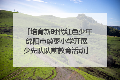 培育新时代红色少年 绵阳市桑枣小学开展少先队队前教育活动