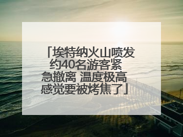埃特纳火山喷发 约40名游客紧急撤离 温度极高感觉要被烤焦了