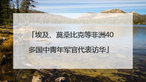 埃及、莫桑比克等非洲40多国中青年军官代表访华
