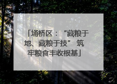 埇桥区：“藏粮于地、藏粮于技” 筑牢粮食丰收根基