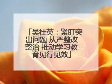 吴桂英：紧盯突出问题 从严整改整治 推动学习教育见行见效