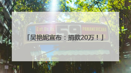 吴艳妮宣布：捐款20万！
