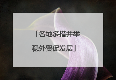 各地多措并举稳外贸促发展