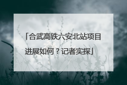 合武高铁六安北站项目进展如何？记者实探