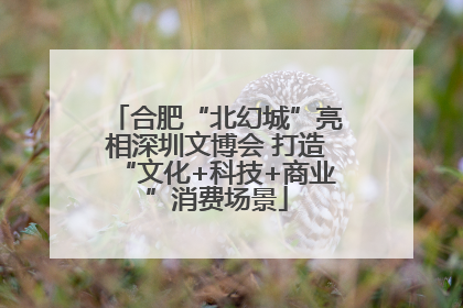 合肥“北幻城”亮相深圳文博会 打造“文化+科技+商业”消费场景