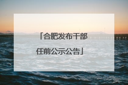 合肥发布干部任前公示公告
