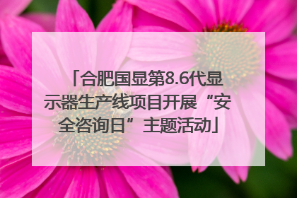 合肥国显第8.6代显示器生产线项目开展“安全咨询日”主题活动