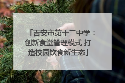 吉安市第十二中学：创新食堂管理模式 打造校园饮食新生态