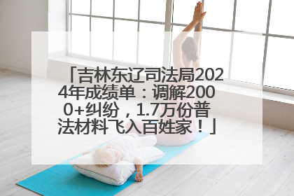吉林东辽司法局2024年成绩单：调解2000+纠纷，1.7万份普法材料飞入百姓家！