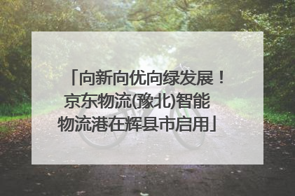 向新向优向绿发展！京东物流(豫北)智能物流港在辉县市启用