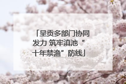 呈贡多部门协同发力 筑牢滇池“十年禁渔”防线