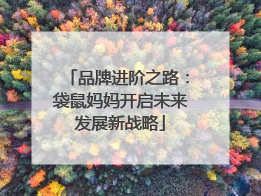 品牌进阶之路：袋鼠妈妈开启未来发展新战略