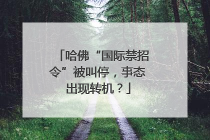 哈佛“国际禁招令”被叫停，事态出现转机？