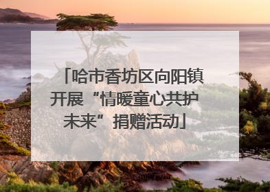 哈市香坊区向阳镇开展“情暖童心共护未来”捐赠活动
