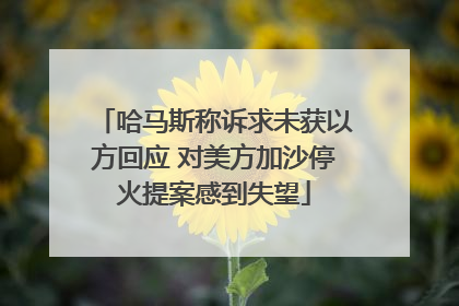 哈马斯称诉求未获以方回应 对美方加沙停火提案感到失望