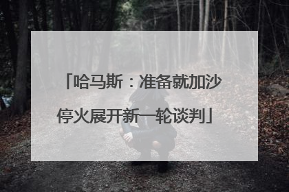 哈马斯：准备就加沙停火展开新一轮谈判