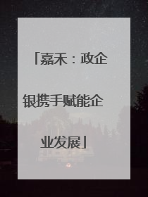 嘉禾：政企银携手赋能企业发展