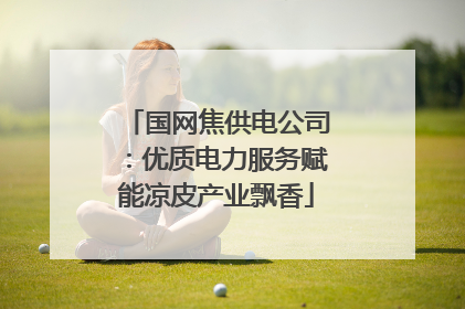 国网焦供电公司：优质电力服务赋能凉皮产业飘香