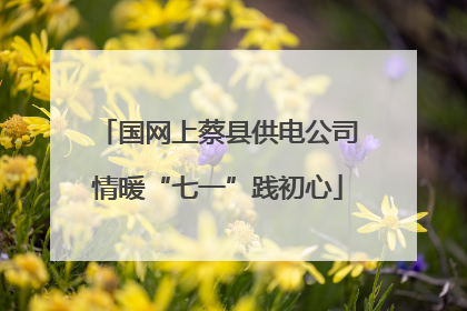 国网上蔡县供电公司情暖“七一”践初心