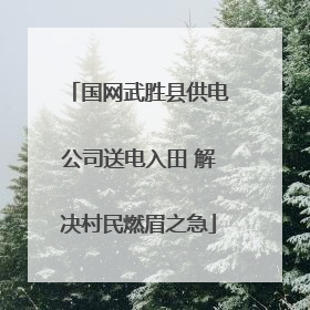 国网武胜县供电公司送电入田 解决村民燃眉之急