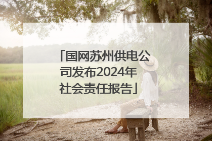国网苏州供电公司发布2024年社会责任报告