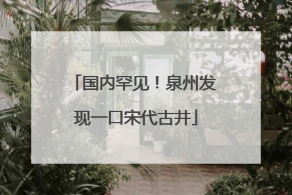 国内罕见！泉州发现一口宋代古井