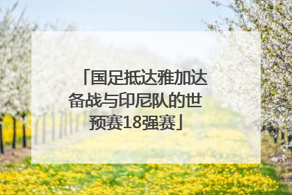 国足抵达雅加达备战与印尼队的世预赛18强赛