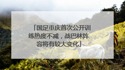 国足重庆首次公开训练热度不减，战巴林阵容将有较大变化