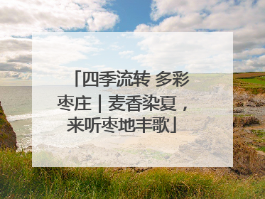 四季流转 多彩枣庄｜麦香染夏，来听枣地丰歌