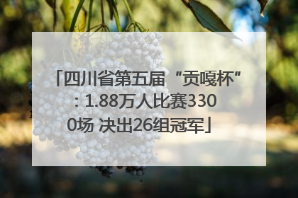 四川省第五届“贡嘎杯”：1.88万人比赛3300场 决出26组冠军