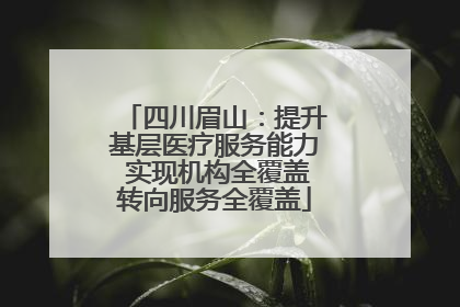 四川眉山：提升基层医疗服务能力 实现机构全覆盖转向服务全覆盖
