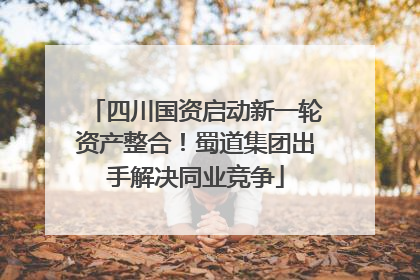 四川国资启动新一轮资产整合！蜀道集团出手解决同业竞争
