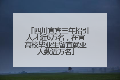 四川宜宾三年招引人才近6万名，在宜高校毕业生留宜就业人数近万名