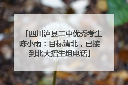 四川泸县二中优秀考生陈小雨：目标清北，已接到北大招生组电话