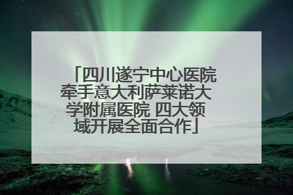 四川遂宁中心医院牵手意大利萨莱诺大学附属医院 四大领域开展全面合作
