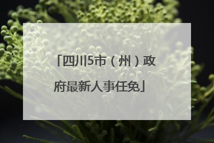 四川5市（州）政府最新人事任免