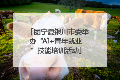 团宁夏银川市委举办“AI+青年就业”技能培训活动