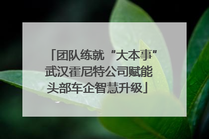 团队练就“大本事” 武汉霍尼特公司赋能头部车企智慧升级