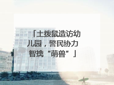土拨鼠造访幼儿园，警民协力智擒“萌兽”