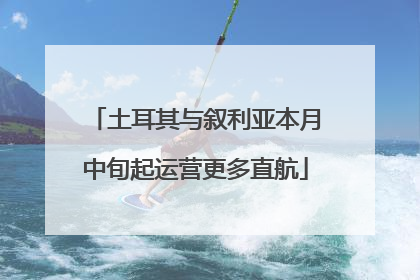 土耳其与叙利亚本月中旬起运营更多直航