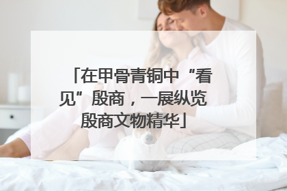 在甲骨青铜中“看见”殷商，一展纵览殷商文物精华