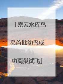 密云水库鸟岛首批幼鸟成功离巢试飞