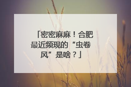 密密麻麻！合肥最近频现的“虫卷风”是啥？