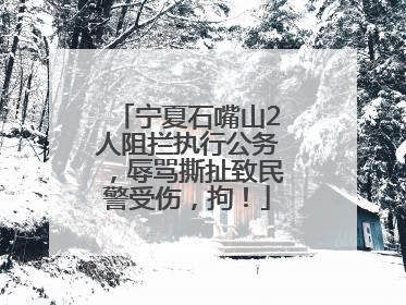 宁夏石嘴山2人阻拦执行公务，辱骂撕扯致民警受伤，拘！