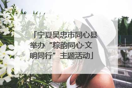 宁夏吴忠市同心县举办“粽韵同心·文明同行”主题活动